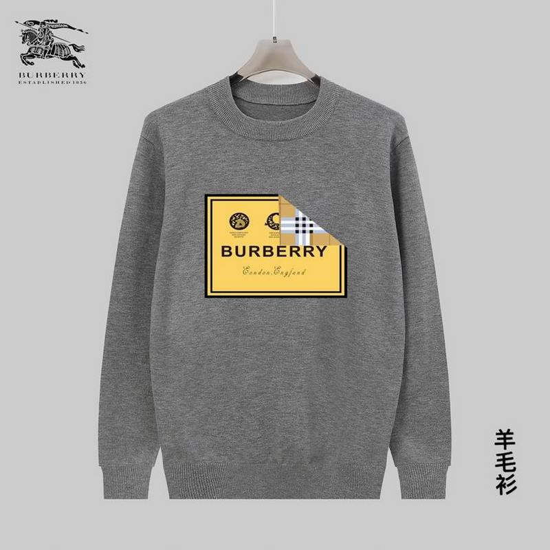 Burberry Men's Sweater 83